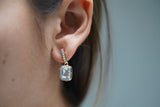 Classic Dangle Earrings