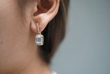 Classic Dangle Earrings