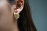 Pearl shell earrings