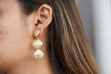 Shell Drop Earrings