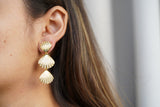 Shell Drop Earrings