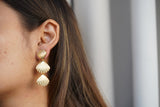 Shell Drop Earrings