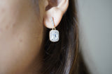 Classic Dangle Earrings